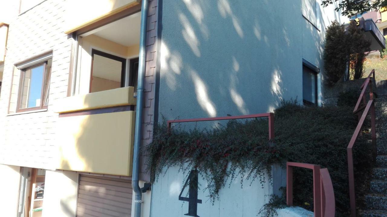 Familien Ferienwohnung Harzer Schoellchen Sankt-Andreasberg Extérieur photo