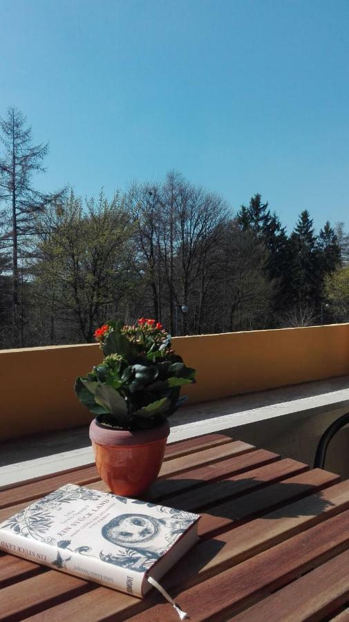 Familien Ferienwohnung Harzer Schoellchen Sankt-Andreasberg Extérieur photo