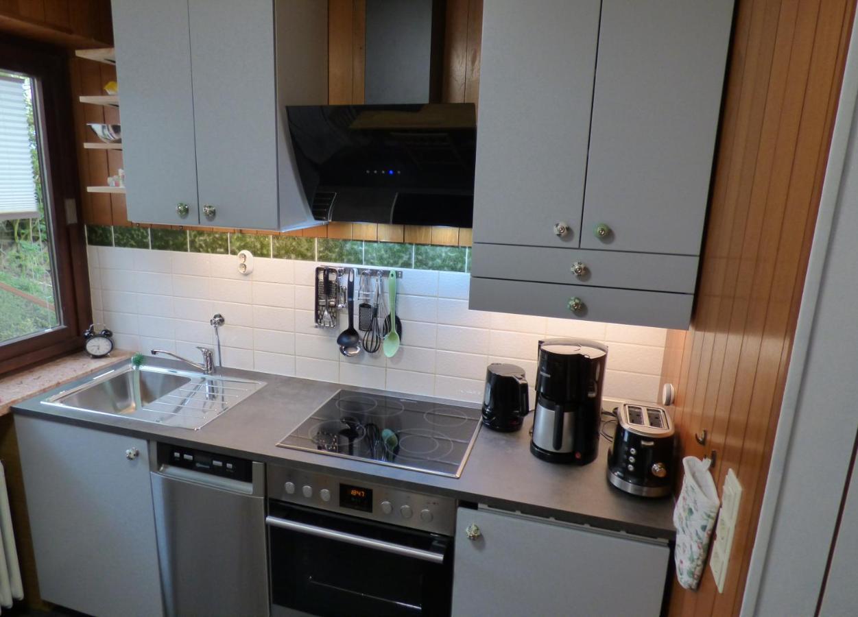 Familien Ferienwohnung Harzer Schoellchen Sankt-Andreasberg Extérieur photo